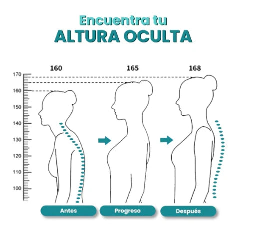Corrector de Postura | Corrige tu postura y siéntete más cómodo cada día 💙